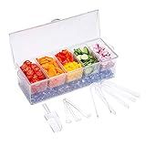 VWMYQ Condiment Server, Tray, ice Party Serving bar, Chilled Caddy, bar Garnish Holder on ice, Dispenser, Salad Platter, Compartment Tray with lid