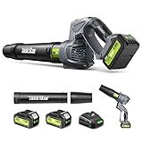 Taskstar Leaf Blower Cordless, Swivel Head Design, 550 CFM Electric Blower w/2 Pcs 4.0 Ah Battery & Charger, Lightweight 3.7 Lbs Handheld Mini Leaf Blower, 5-Speed Blowers for Lawn Care Car Patio Yard