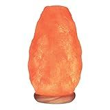 Elvissmart Natural Himalayan Pink Salt Lamp, Crystal Salt Lamp Night Light with Real Wood Base, (ELT Certified) Dimmer Switch – Perfect Holiday Gift | 7-11 LBS