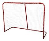 Premier Sports – 54“ Junior Steel Street Hockey Goal – Portable Hockey Net for Indoor & Outdoor Use – Hockey Training Equipment