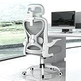 Ergonomic Office Chair for Back & Neck Pain Relief, Virgin Foam Seat, 2D Adjustable Lumbar & 3D Headrest, Tilt & Rock for Relaxation, Ideal for Long Sitting Comfort, Gray/Silver