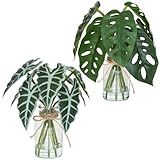 Muhanjia Artificial Flowers Turtle-Back, Alocasia Leaf, in Glass Vase with Faux Water,7Pcs Artificial Leaves Real Touch Latex Leaves for Centerpiece (2, Turtle-Back&Alocasia Leaves)