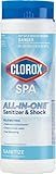 Clorox® Pool&Spa™ Spa Water All-in-One Sanitizer & Shock, Destroys Contaminants, Clears Cloudy Water, 2LB (Pack of 1)