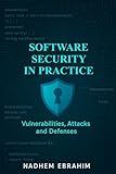 Software Security in Practice: Vulnerabilities, Attacks and Defenses