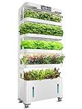 Woolooloo Large Hydroponics Growing System Kit, 5-Tier Indoor Herb Garden with Smart Climate Control, Auto Misting, Full Spectrum Grow Light, Vertical Hydroponic System for Home or Commercial