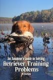 An Amateur’s Guide to Solving Retriever Training Problems