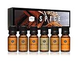 P&J Fragrance Oil Spice Set | Cinnamon, Harvest Spice, Apple Cider, Coffee Cake, Gingerbread, and Pumpkin Pie Candle Scents for Candle Making, Freshie, Soap Making Supplies, Diffuser Oil Scents