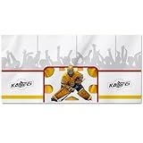 kasifei – 8' x 16' Heavy Duty Hockey Shooting Tarp – Built-in Shooter Tutor – Great Hockey Net Replacement – Training Equipment for All Skill Levels - Garage & Wall Protection