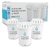 Invigorated Water PH001 Alkaline Water Filter Replacement, White