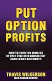 Put Option Profits: How to Turn Ten Minutes of Free Time into Consistent Cash Flow Each Month (Passive Stock Options Trading)