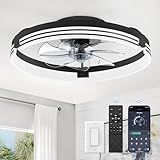 ZMISHIBO Low Profile Ceiling Fans with Lights and Remote, 20 Inch Flush Mount Ceiling Fan with Light, 3000K-6000K Dimmable Fandelier LED Fan Light, 6 Wind Speeds Black Ceiling Fans for Bedroom