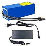 SWQQWEI 36V 10Ah Lithium Battery for Electric Bicycle,36V Ebike Battery with XT60 Connector, 42V2A Charger, PVC Warp for DIY Tools (ZBL-36V10Ah)