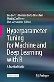 Hyperparameter Tuning for Machine and Deep Learning with R: A Practical Guide