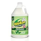 OdoBan Disinfectant Concentrate and Odor Eliminator, Made in the USA, Original Eucalyptus Scent, 1 Gallon