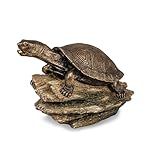 Aquascape Turtle On Log Spitter Fountain for Pond and Garden, 78371
