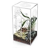 Jumping Spider Enclosure - 11.7x6x6 Inch Large Acrylic Terrarium for Tarantulas - Reptile Tank With Front Opening Door - Habitat Accessories