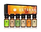 P&J Fragrance Oil Autumn Set | Brown Sugar, Apple, Harvest Spice, Vanilla, Forest Pine, and Snickerdoodle Candle Scents for Candle Making, Freshie, Soap Making Supplies, Diffuser Oil Scents
