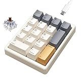 Kisnt Mechanical Number Pad,Hot Swappable Numpad Wired USB 17 Keys Keypad White Backlit Numeric Keypad with PBT Keycaps for Laptop PC Compact Keyboards (Retro Beige, Brown Switch)