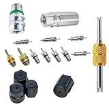 winterrock 17PCS Car Air Conditioning Valve Core Kit, R12 to R134a Teflon Seal Refrigeration Conversion Kit for Low & High Pressure Port, with Removal Tool, Auto AC System Charging Port Seal Cap Kit