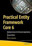 Practical Entity Framework Core 6: Database Access for Enterprise Applications