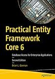 Practical Entity Framework Core 6: Database Access for Enterprise Applications