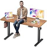 BIZUM Electric Standing Desk, 55x24 inches Height Adjustable Desk, Sit to Stand Desks Memory Gaming Computer Workstation for Home Office, Light Rustic Brown