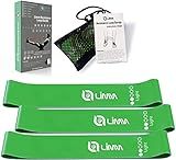 Limm Resistance Loop Exercise Bands - Set of 3 Bands for Working Out with Instruction Guide & Carry Bag - Mini Resistance Bands for Home Workouts, 12" x 2"