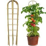Taoskai 5 Pack 4 Feet U-Shape Bamboo Trellis, Natural Bamboo Trellis for Climbing Plants, Vegetables, Cucumber, Tomato, Outdoor and Indoor Potted Plants