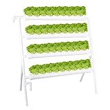 LAPOND Hydroponics Growing System Kit 36 Plant Sites Food-Grade PVC-U Pipes Hydroponic Grow Kit Gardening System for Vegetables,Fruits,Herb