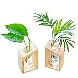 Ivolador Plant Propagation Station,Propagation Tubes,Gifts for Plant Lovers,Plants Cutting Holder Office Desk Garden Décor for Mom Women Hydroponic Vase