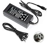 42V 2A Battery Charger for 36V Scooter Lithium Battery, Power Supply Adaptor with 8mm 3 Prong Connector