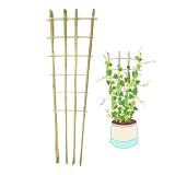 Natural Bamboo Trellis, 4.8Feet,3Pack,Fan-Shaped Plant Support Trellis for Outdoor and Indoor Potted Climbing Plants,Vegetables, Cucumber, Tomato, Hoya,