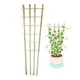 Natural Bamboo Trellis, 4Feet,3Pack,Fan-Shaped Plant Support Trellis for Outdoor and Indoor Potted Climbing Plants,Vegetables, Cucumber, Tomato, Hoya,