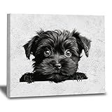 WoGuangis Canvas Prints Wall Art Affenpinscher Pet Memorial Artworks Affenpinscher Cute Funny Peeking Dog Puppy Painting Wall Art Canvas Print for Home 16x20in Housewarming Gift to Dog Mom