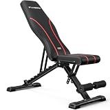 FLYBIRD Adjustable Weight Bench, Full Body Workout Bench for Home Gym (L)