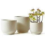 4 + 5 + 6 Inch Ceramic Pots for Indoor Plants, Succulents Plant Pots, Orchid Flower Pot with Drainage Hole, Modern Clay Stoneware Planters, Set of 3 (White, 4+5+6 Inch)