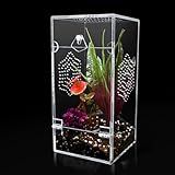 Acrylic Jumping Spider Enclosure, Secure Front Opening Door, 4x4x8 inch, Ventilated Habitat for Tarantulas, Mantis, Hermit Crabs & Small Pets