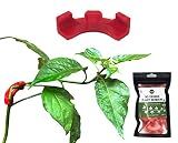 HMG 90 Degree Original Plant Bender (35 Pack) for Low Stress Training (LST) and Plant Training