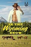 In the Wyoming Snow: A Christmas Wedding Romance (Hot Spring Ranch)