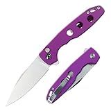 DEFCON Pocket Folding Knife- Button Lock with Thumb Stud Opener for EDC, 3.3" 14C28N Blade, Aluninum Handle, Utility Knife for Men Women Gift -TD016 Ghost- (Purple)