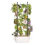 Gardyn Home 4 Vertical Hydroponics Growing System Kit - 30 Non-GMO Plants, Herbs, Vegetables - Smart Tower Garden Hydroponic Herb Garden Planter Indoor Kit - Indoor Gardening System w/LED Grow Lights