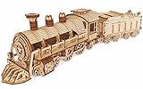 3D Wooden Puzzle - DIY Mechanical Steam Train Model Kits - Wood Crafts Vehicle Building Model - Wooden STEM Brain Teaser Puzzle - Steam Train Christmas Birthday Gifts for Adults & Teens