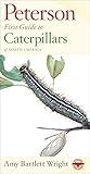 Peterson First Guide To Caterpillars Of North America