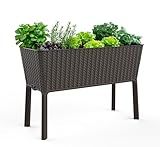 Keter Splendor 31.7 Gallon Raised Garden Bed with Self Watering Planter Box and Drainage Plug-Perfect for Growing Fresh Vegetables, Flowers and Herbs, Brown