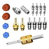 Ziysiad 17 PCS Car Air Conditioning Valve Core Kit, R12 R134a A/C Conversion Service Valve, High & Low Pressure Port Seal Cap & Double-ended Removal Tool, for Most Car AC Systems