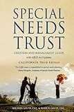 Special Needs Trust Creation and Management Guide: with ABLE Act Updates