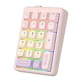 FOPATO NumberPad,21Keys HotSwappable Numpad,Bluetooth5.0/2.4G/Type-C Wireless Numeric Keypad,Rechargeable Number keypad,RGB Gasket Structure Mechanical Keyboard with PBT Keycap for PC Laptop Notebook