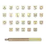 OwnMy 27PCS Leather Stamping Tools Kit Includes 26PCS 8mm Capital Letters Alphabet Stamps and 1 Steel Punch Handle, Metal Leathercarft Embossing Stamp Tools for Leather Art Crafts Marking/Working