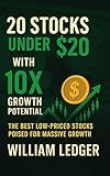 20 Stocks Under $20 with 10x Growth Potential : The Best Low-Priced Stocks Poised for Massive Growth (Ultimate Stock Picks Series)