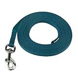 Coachi Puppy & Mini Training Line 2.5m - Toilet Training, Jumping Up, Running Off, Place Avoidance, Chewing, House Manners, Lightweight Indoor House Lead. Suitable for Puppies & Newly Acquired Dogs